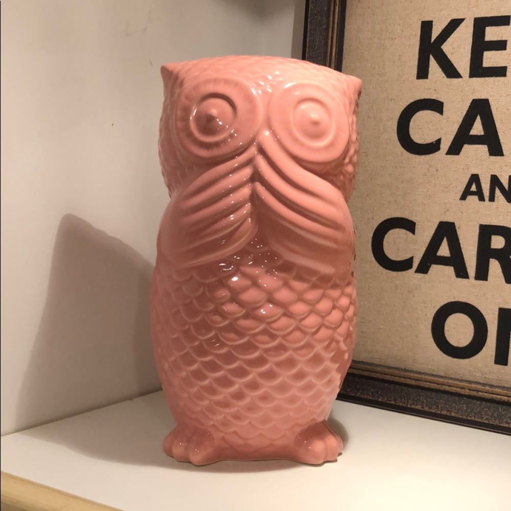 Owl bank🌸